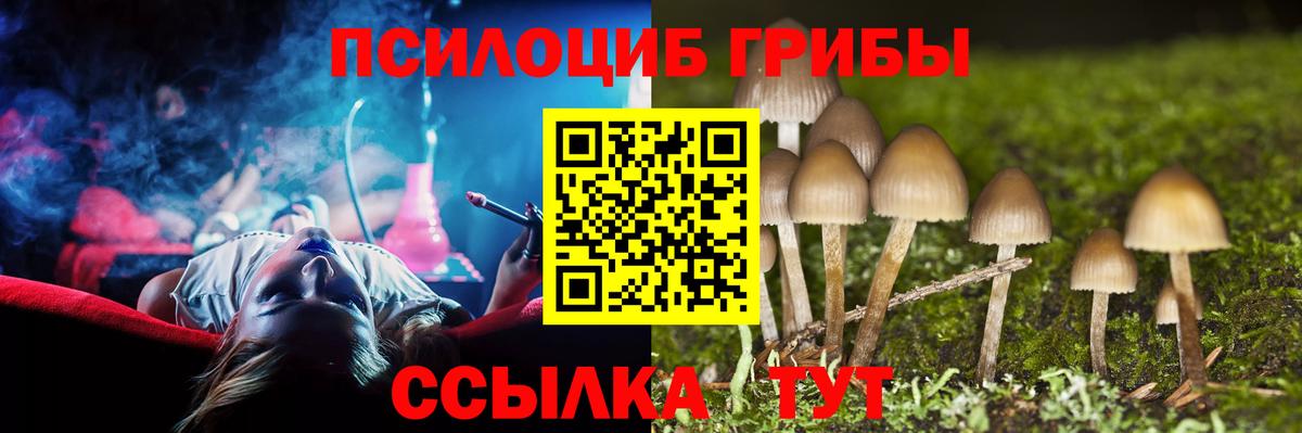 Истра  закладка  Вход с VPN  Псилоцибиновые грибы ЛСД 